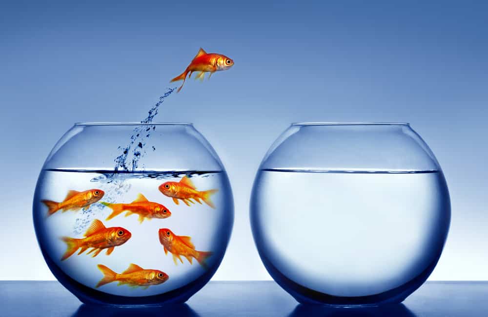 Blue Ocean Strategy